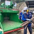 Deploying wood chippers in Discovery Bay to facilitate wood recycling and upcycling 
